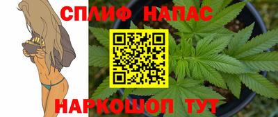 молекула духа Моздок