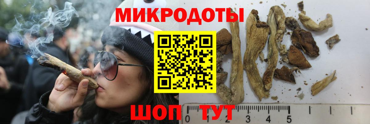 Галлюциногенные грибы Psilocybine cubensis Узловая